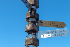 Where to From Here